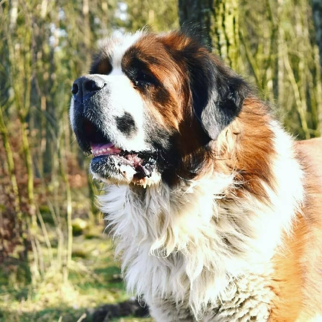 Счастливы вместе сериал Барон