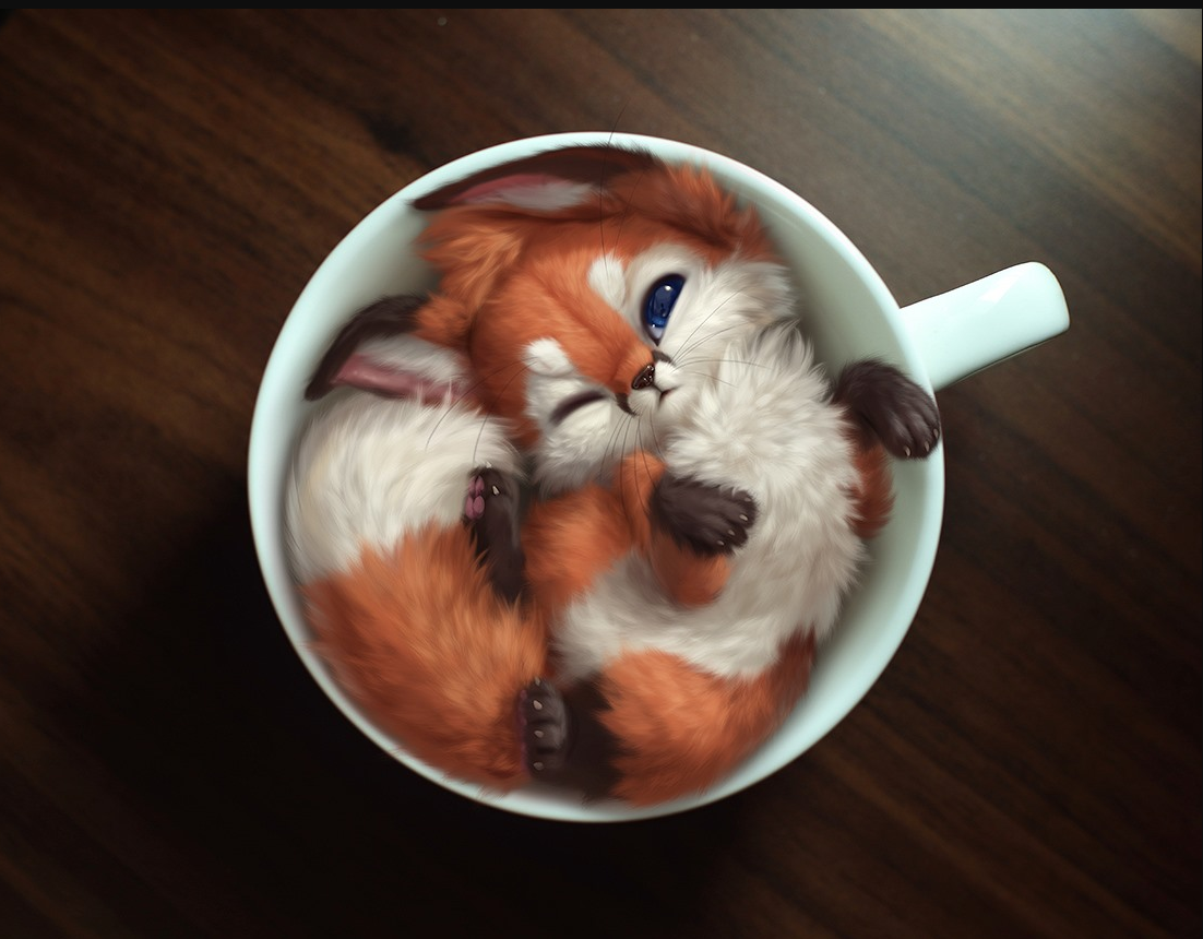 Art of Silverfox лисята кофе