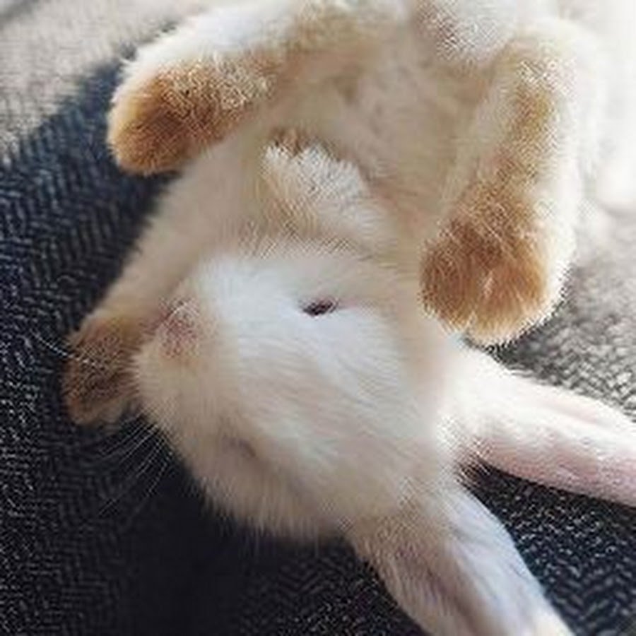 Милые картинки