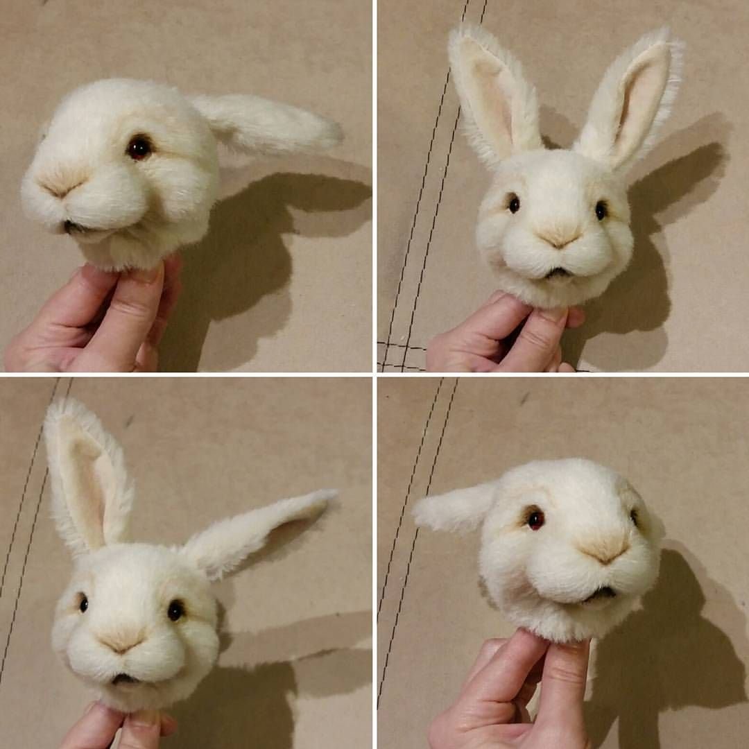 Снимок кошачьей лапы рентген