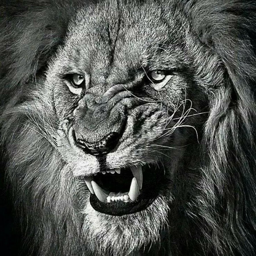 Пасть Льва