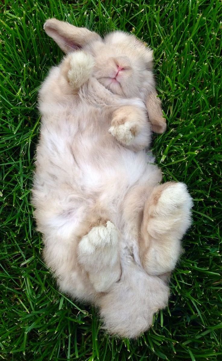 Розовые мягкие игрушки Эстетика