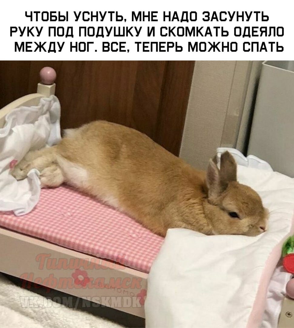 Эстетика зайчиков