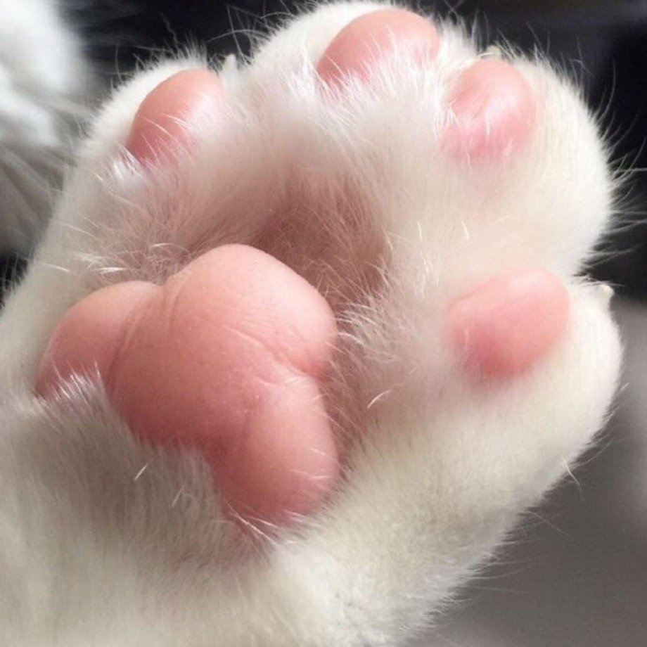 Декоративная подушка "заяц"