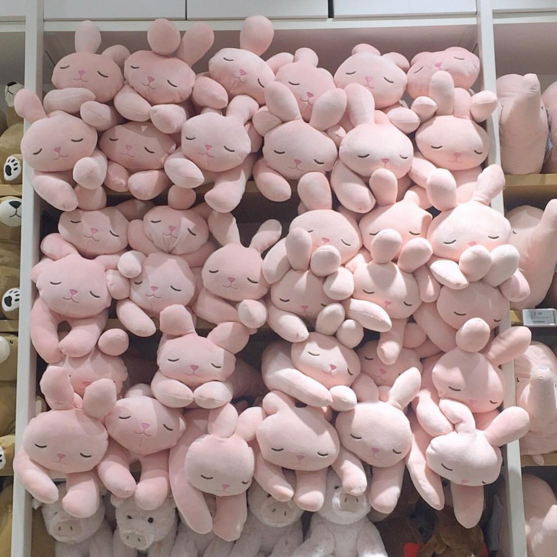 Спящие зайчики