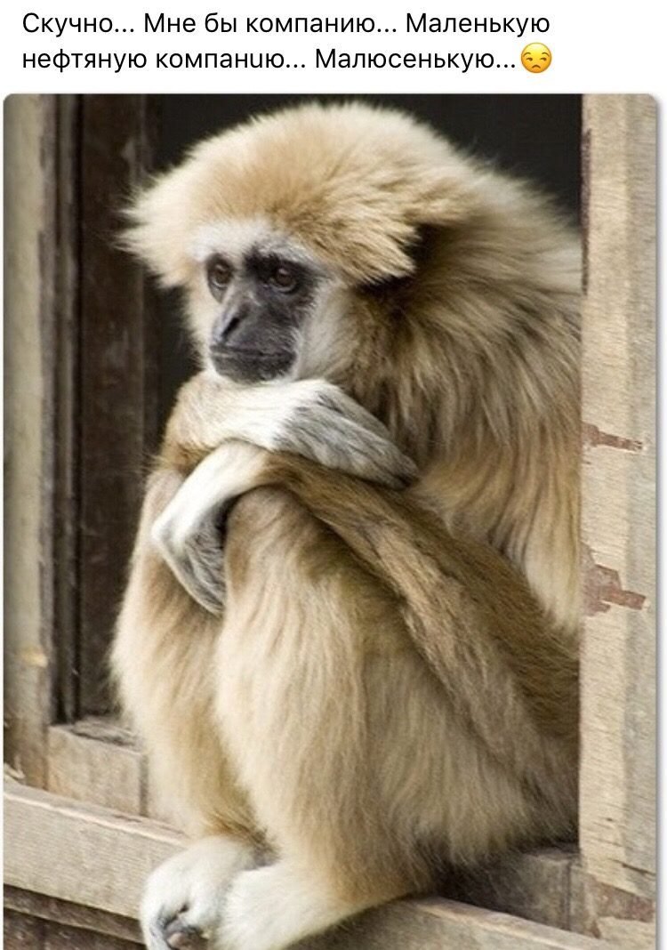 Обезьянка с зелеными глазами