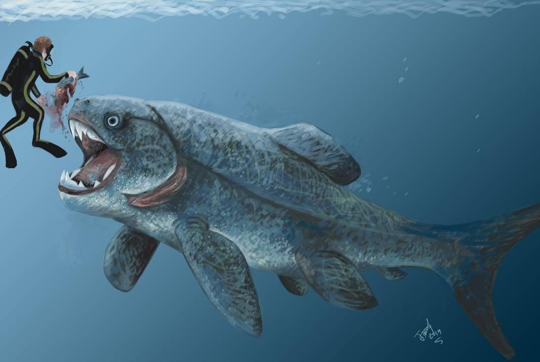 ДУНКЛЕОСТЕЙ геликоприон