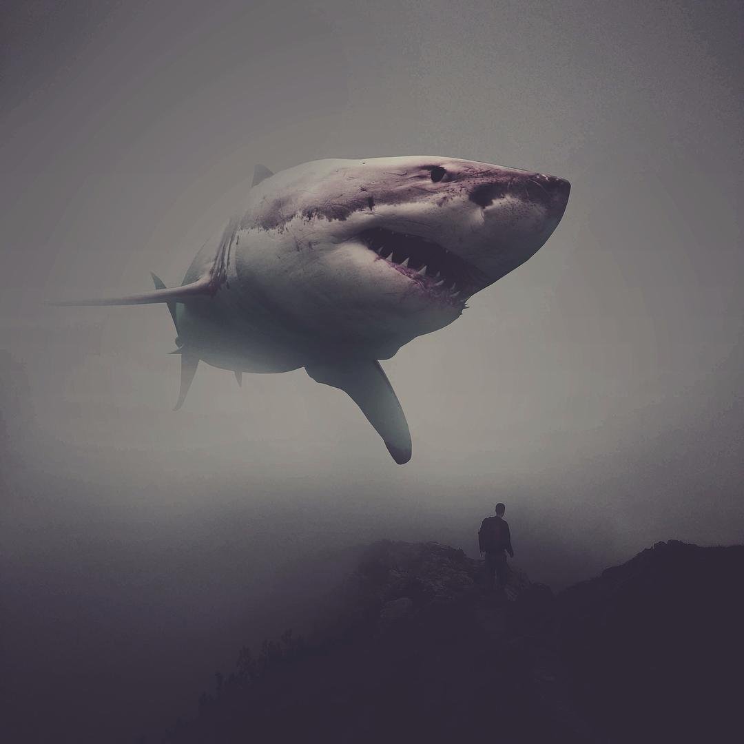 Белая акула арт