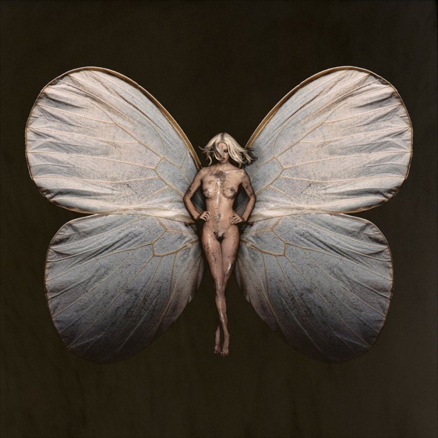 Ночная бабочка