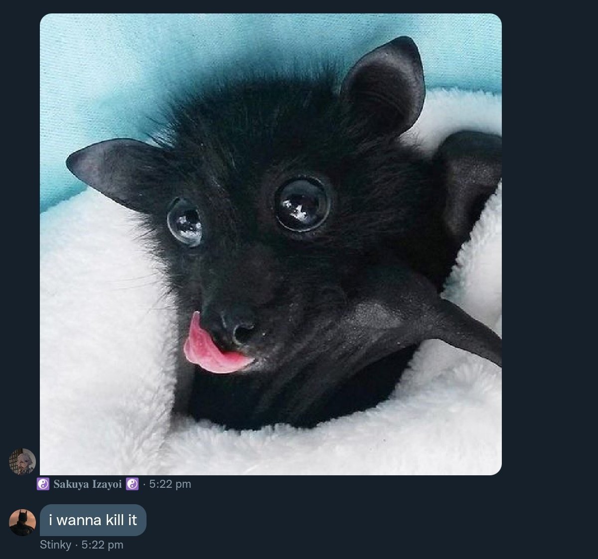 Летучая мышь милая