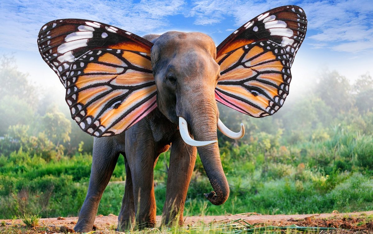 Черные слоны