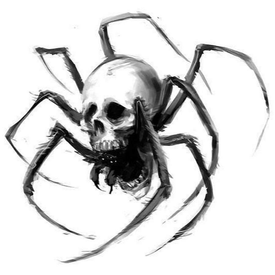 Паук тату эскиз