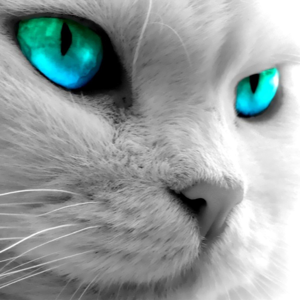 Телевизор Liberton led 3220 a 32"