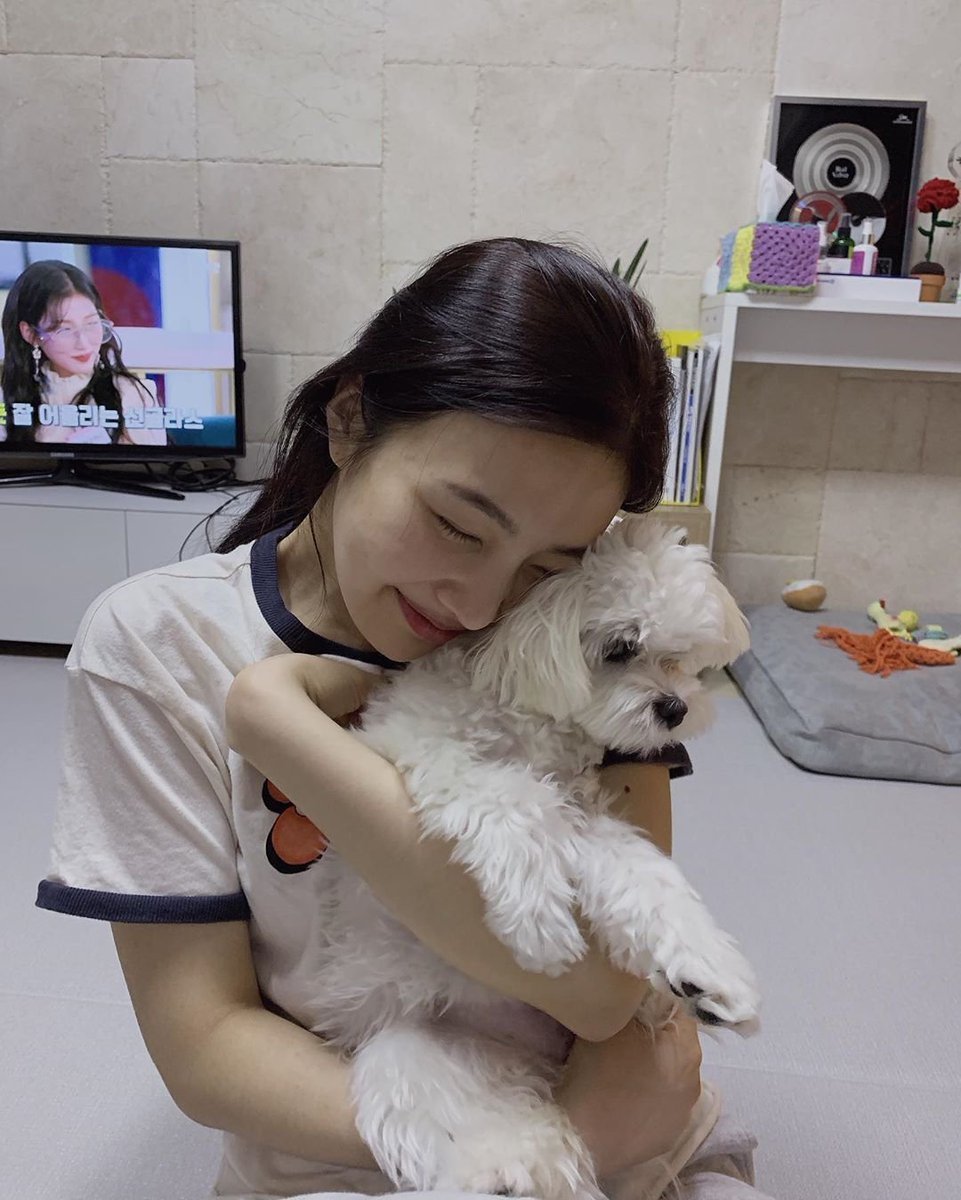 Джой Red Velvet собака