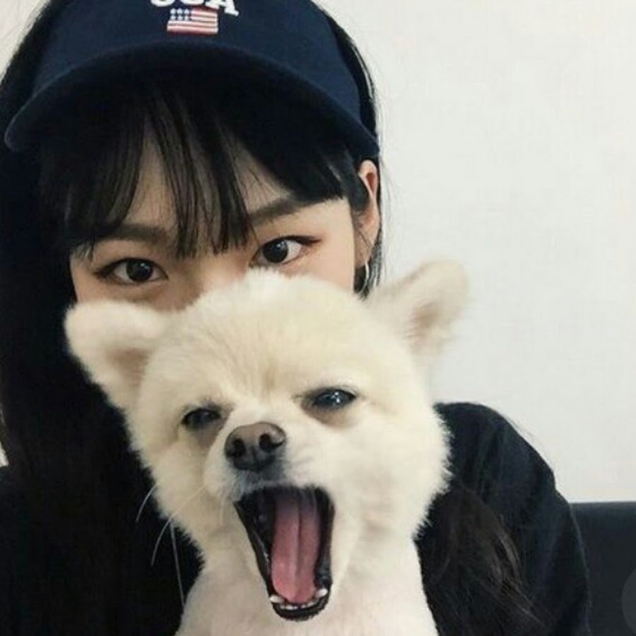 Корейская девушка с собакой