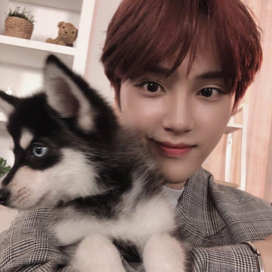 Корейские породы собак