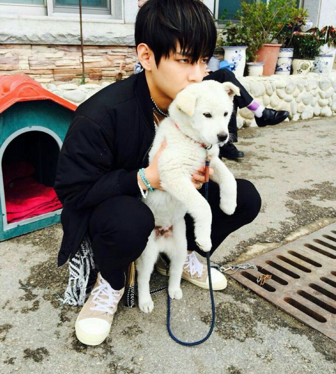 Собака Тэхена BTS