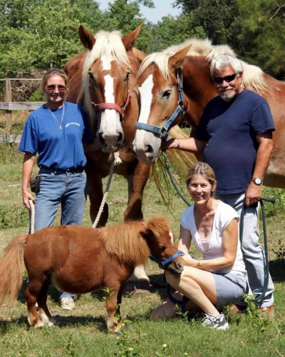 Фьорд лошадь грива