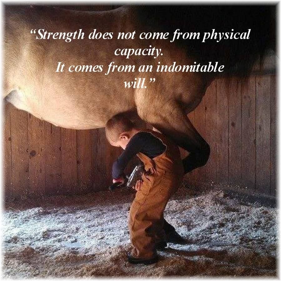 Литтл Пампкин лошадь