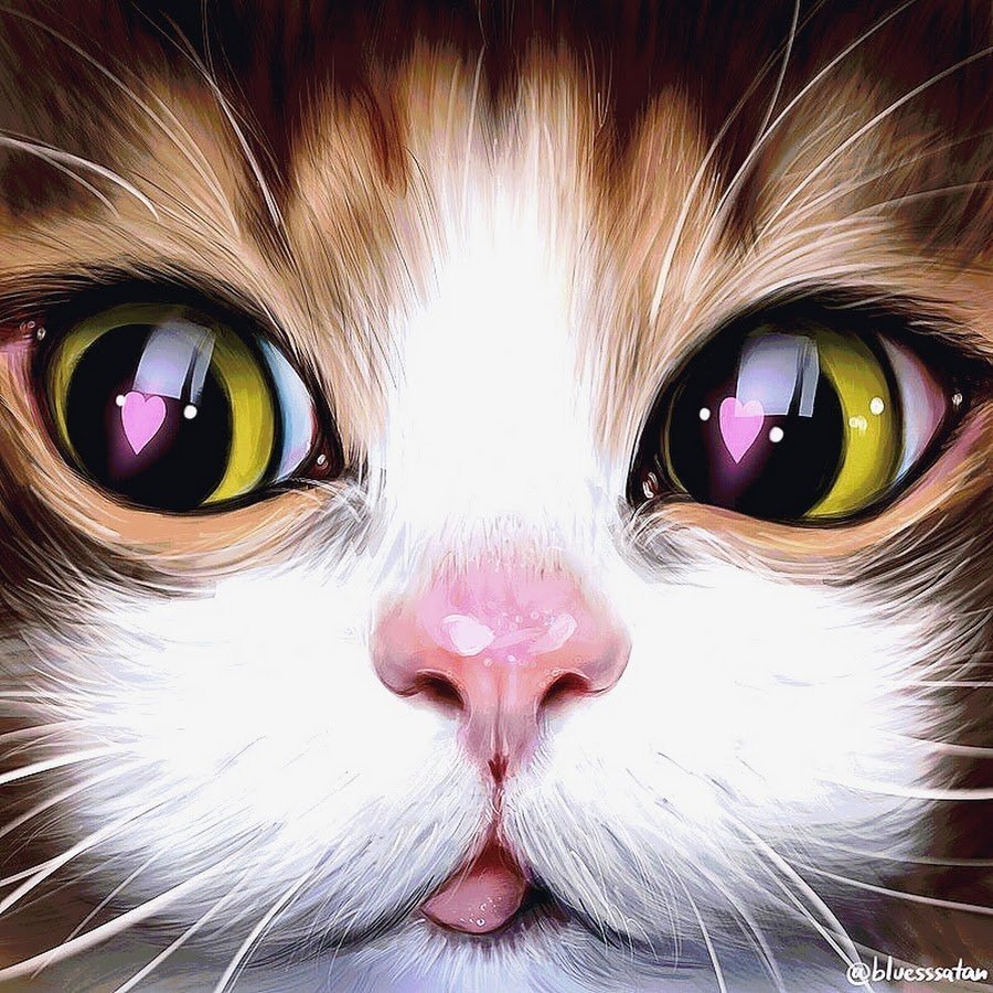 Милая мордочка кота