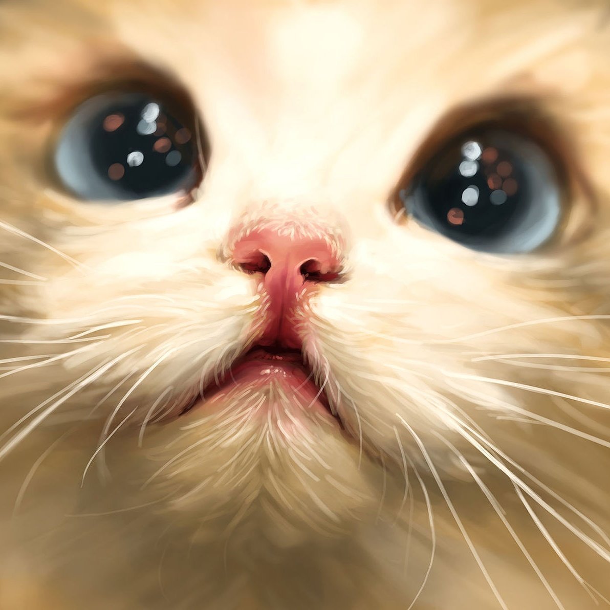 Милые мордашки животных