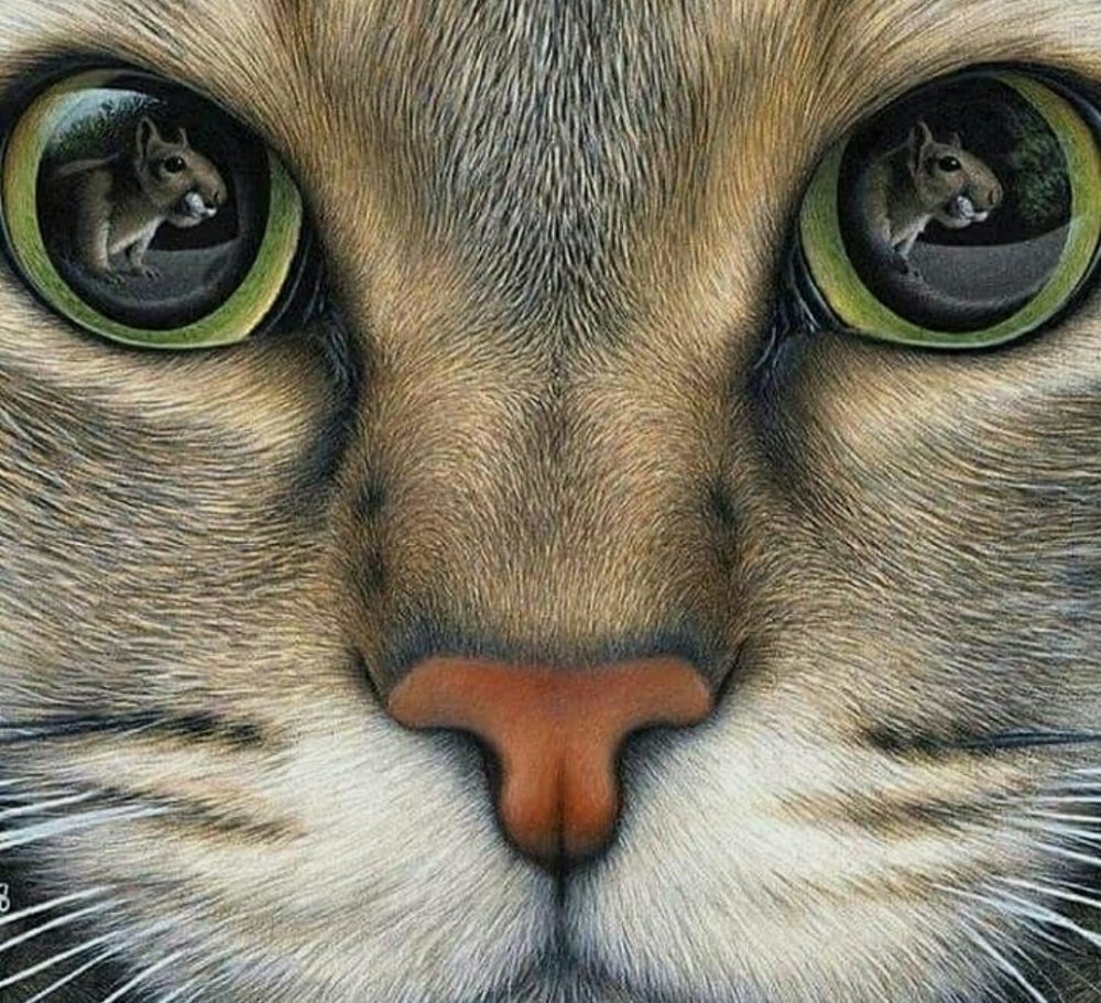 Реалистичные рисунки животных