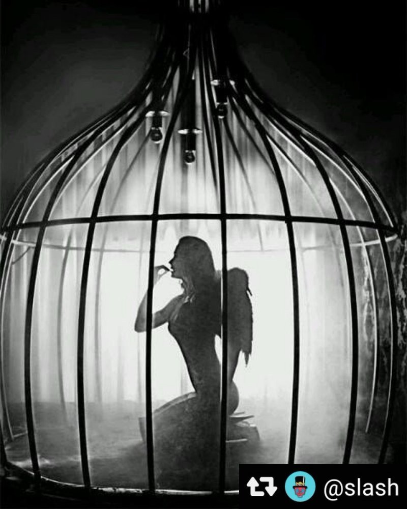 Клетка с попугаем