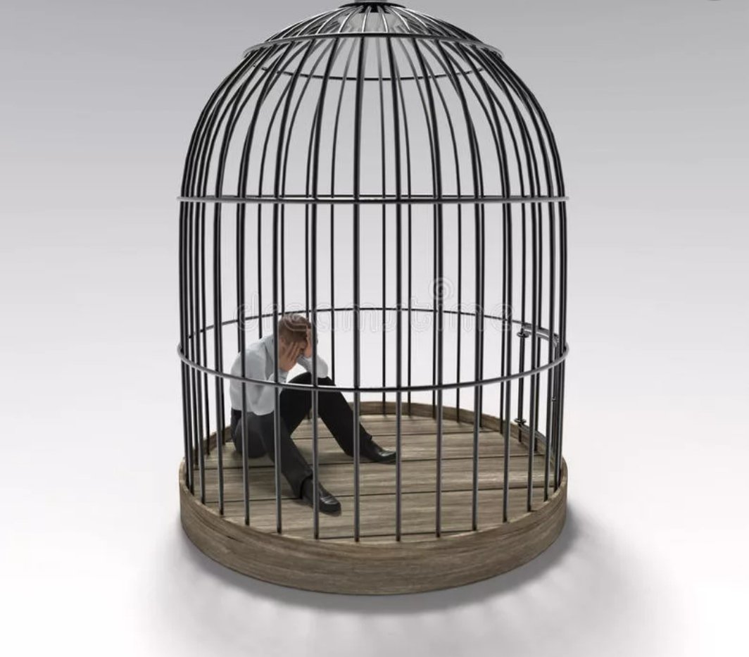 Птица в золотой клетке