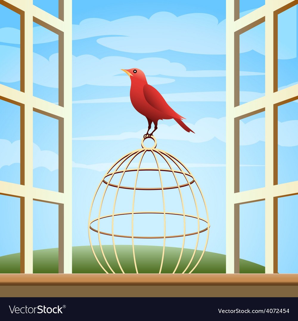 Клетка для птиц вектор