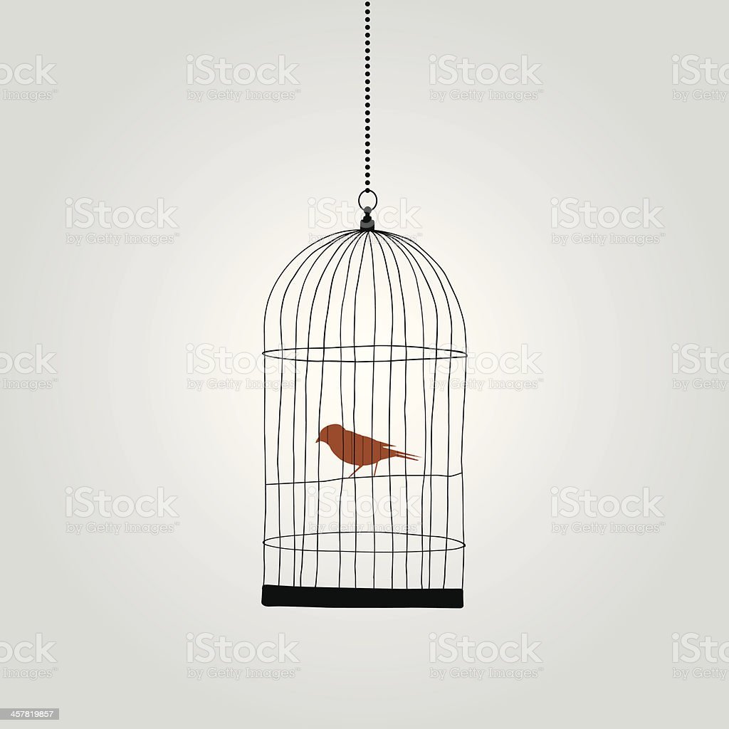 Птица в клетке Эстетика