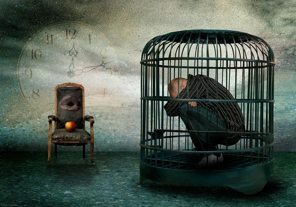 Клетка для кота