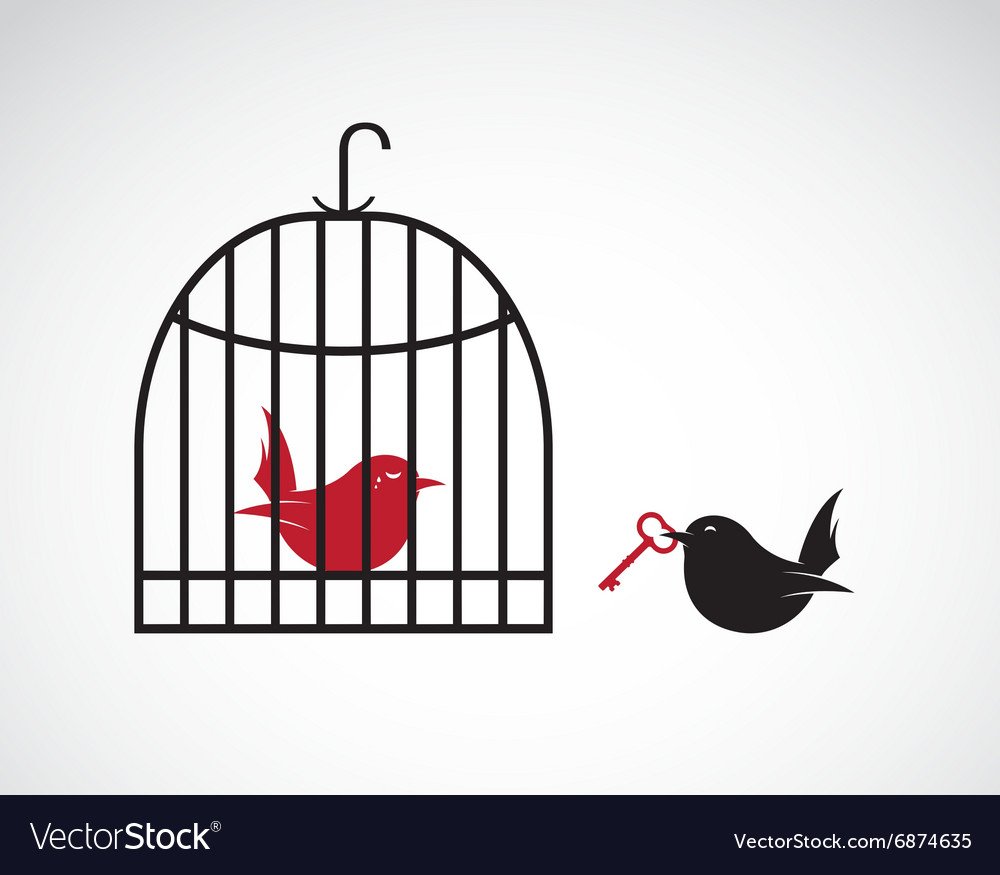 Птица вылетела из клетки на белом фоне