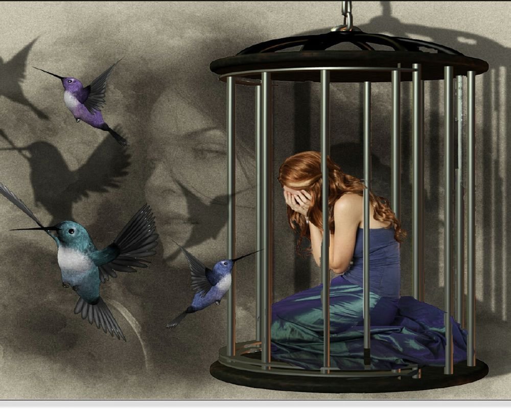 Попугай вылетает из клетки