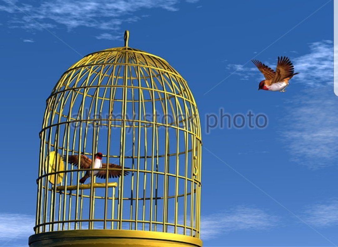 Птица в клетке эскиз