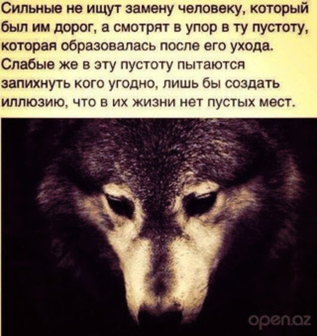 Сильные цитаты