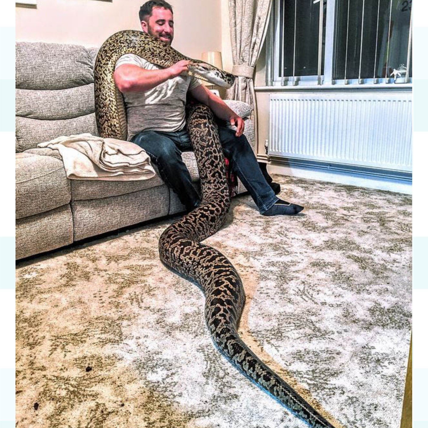 фото самых длинных змей