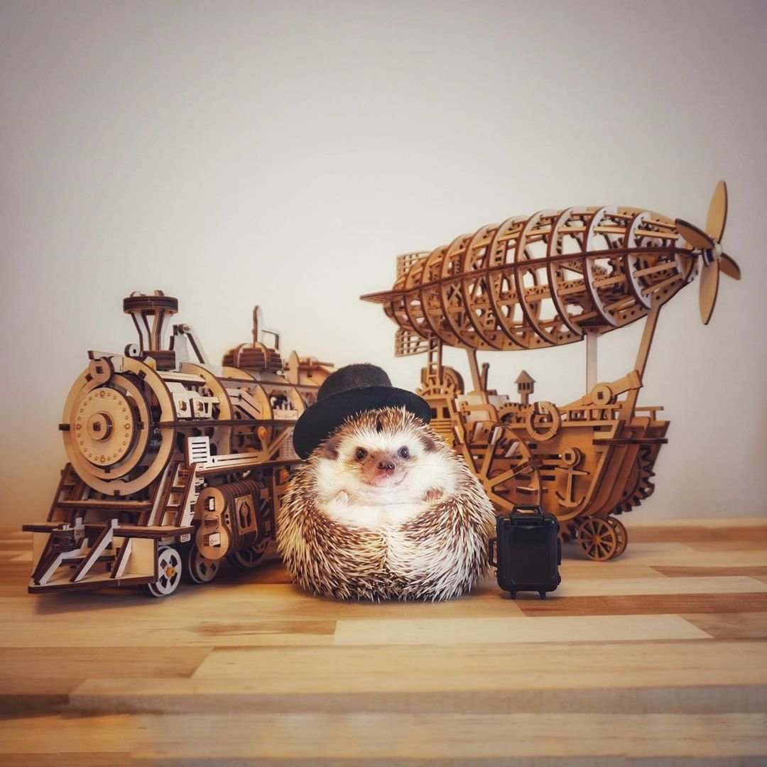 Prickly Hedgehog Fox Bear Oxford