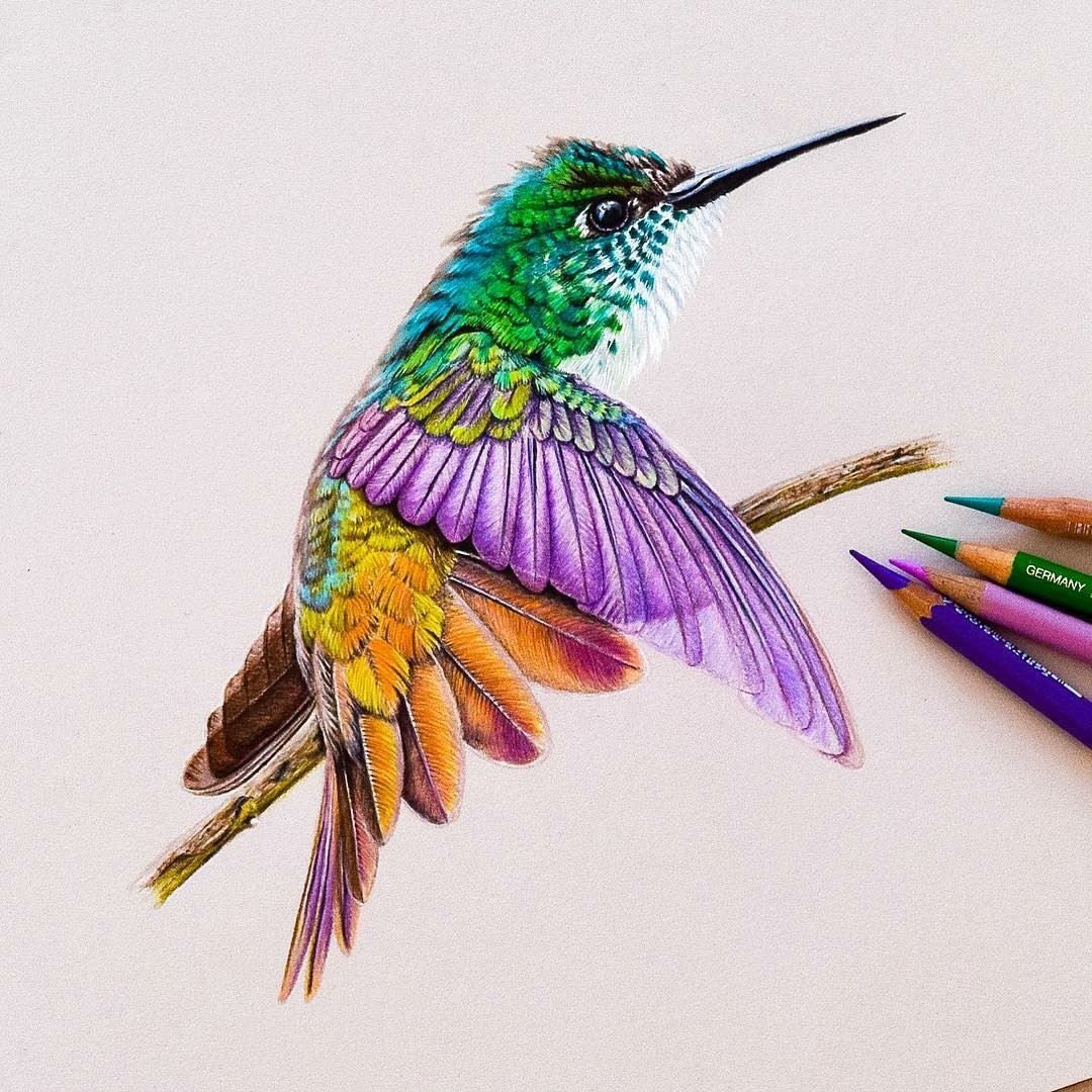 Колибри карликовая Пчелка