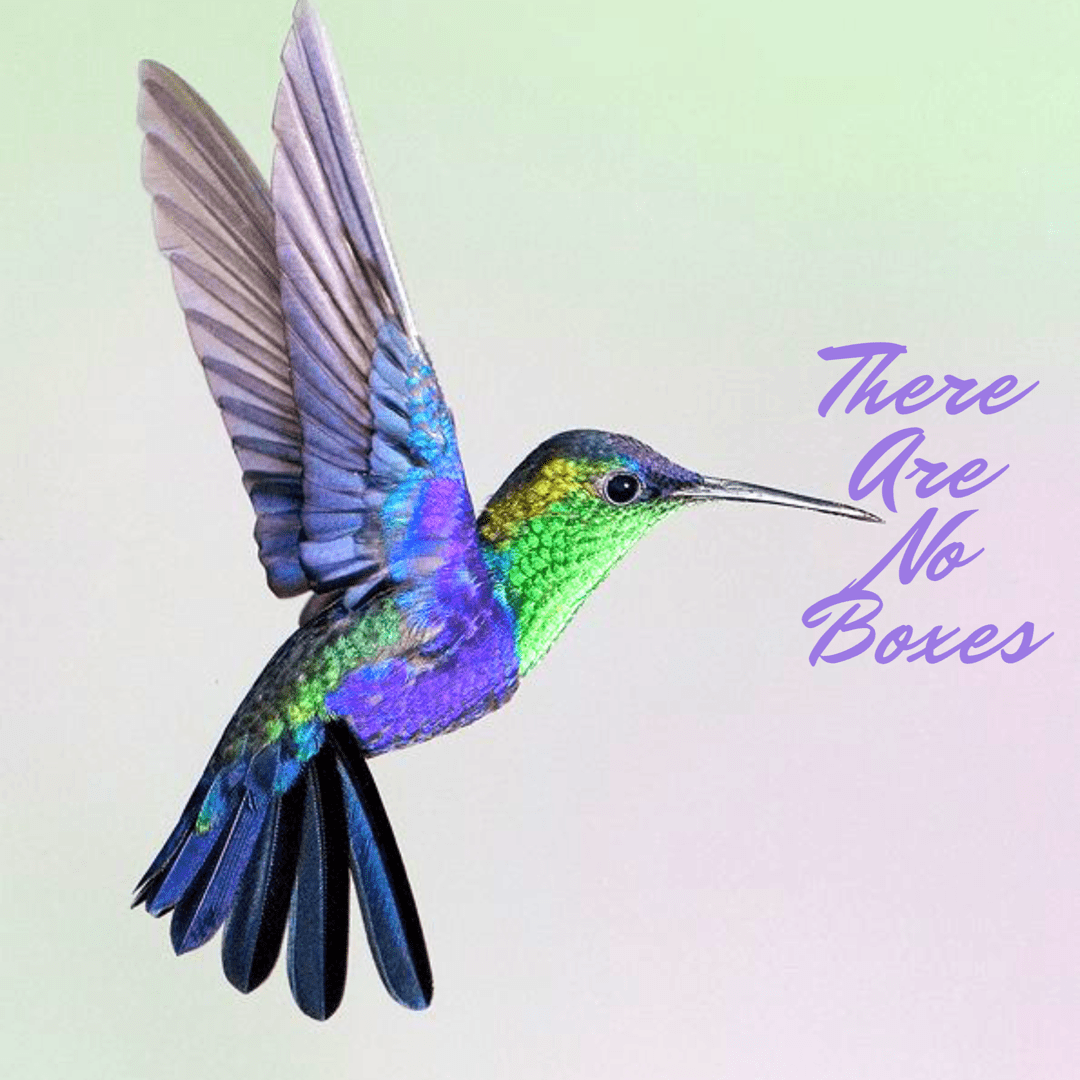 Красивые птицы на цветах