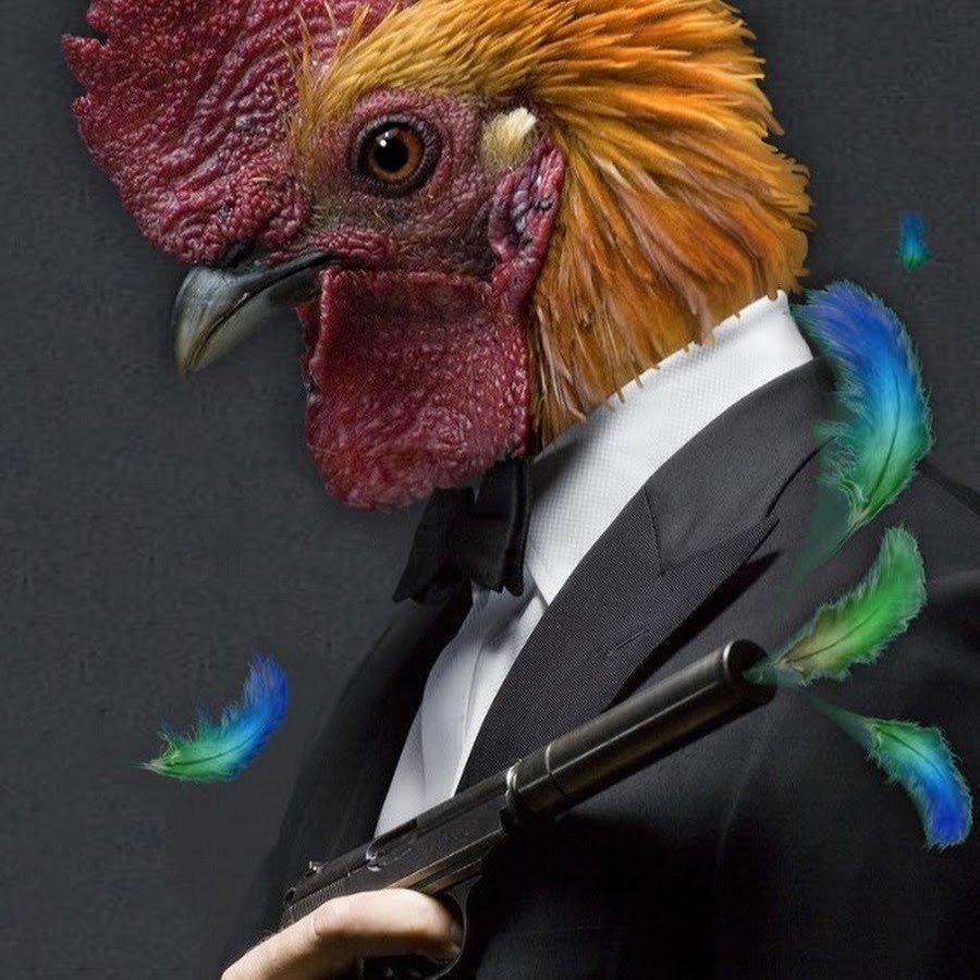 Мужик петух