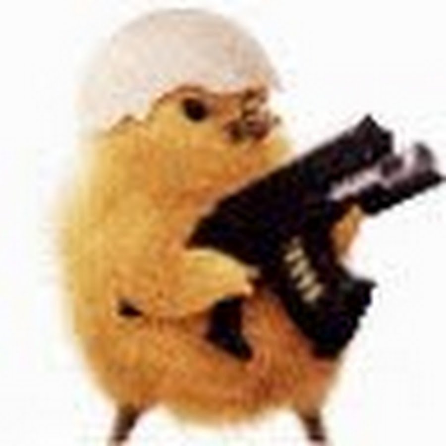 Цыпленок с пистолетом