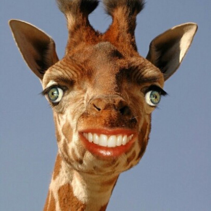 Страшный Жираф