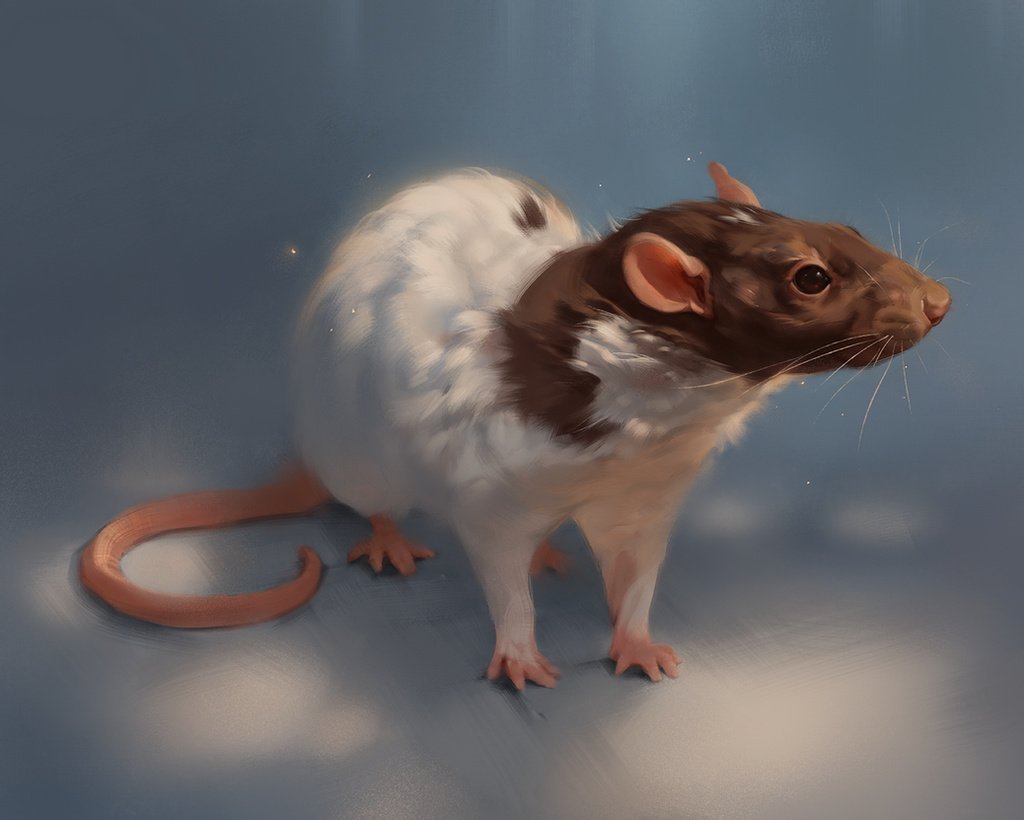Крыса животное