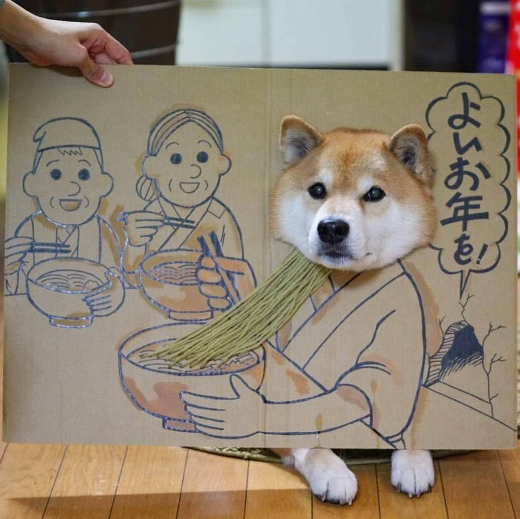 Шиба ину для срисовки