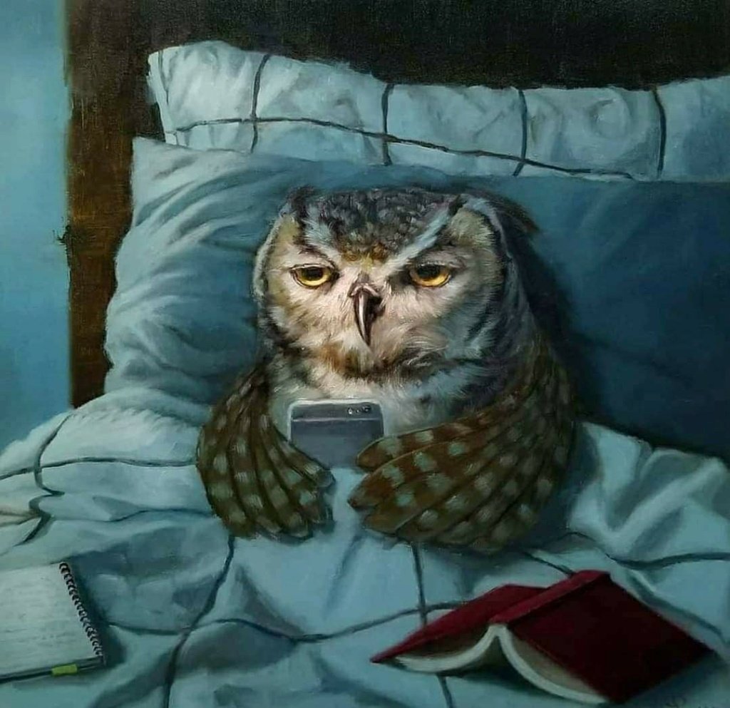 Ночная Сова.(Night Owl).1993