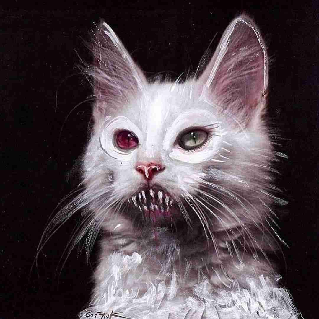 Страшный волосатый кот