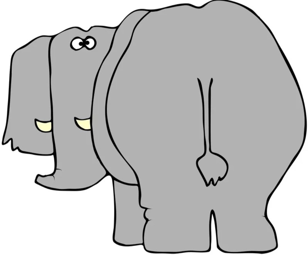 Слон вид сзади рисунок