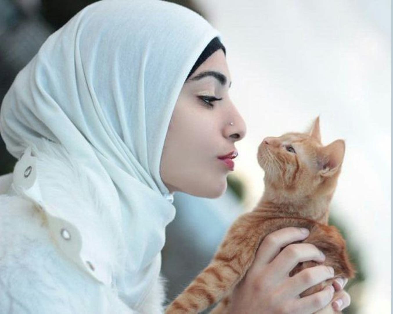 Мусульманский кот