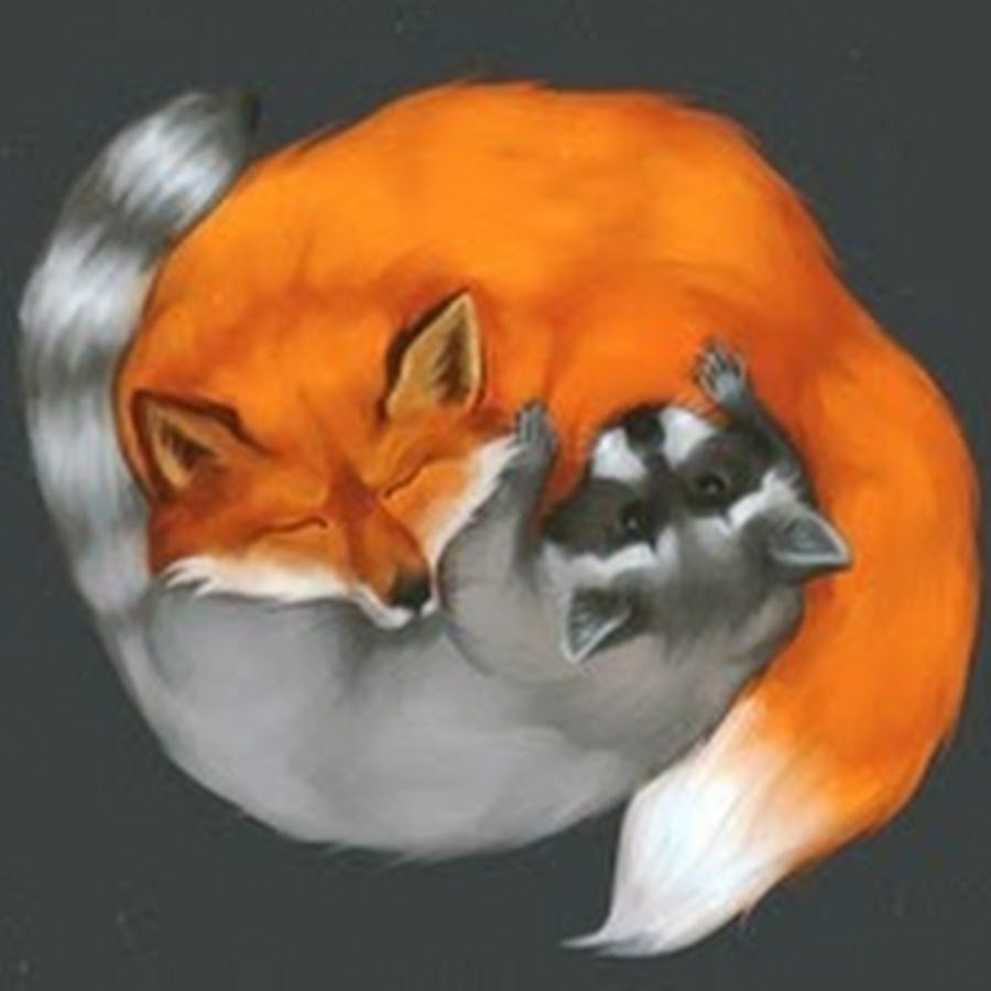 Енот обнимает Лисенка