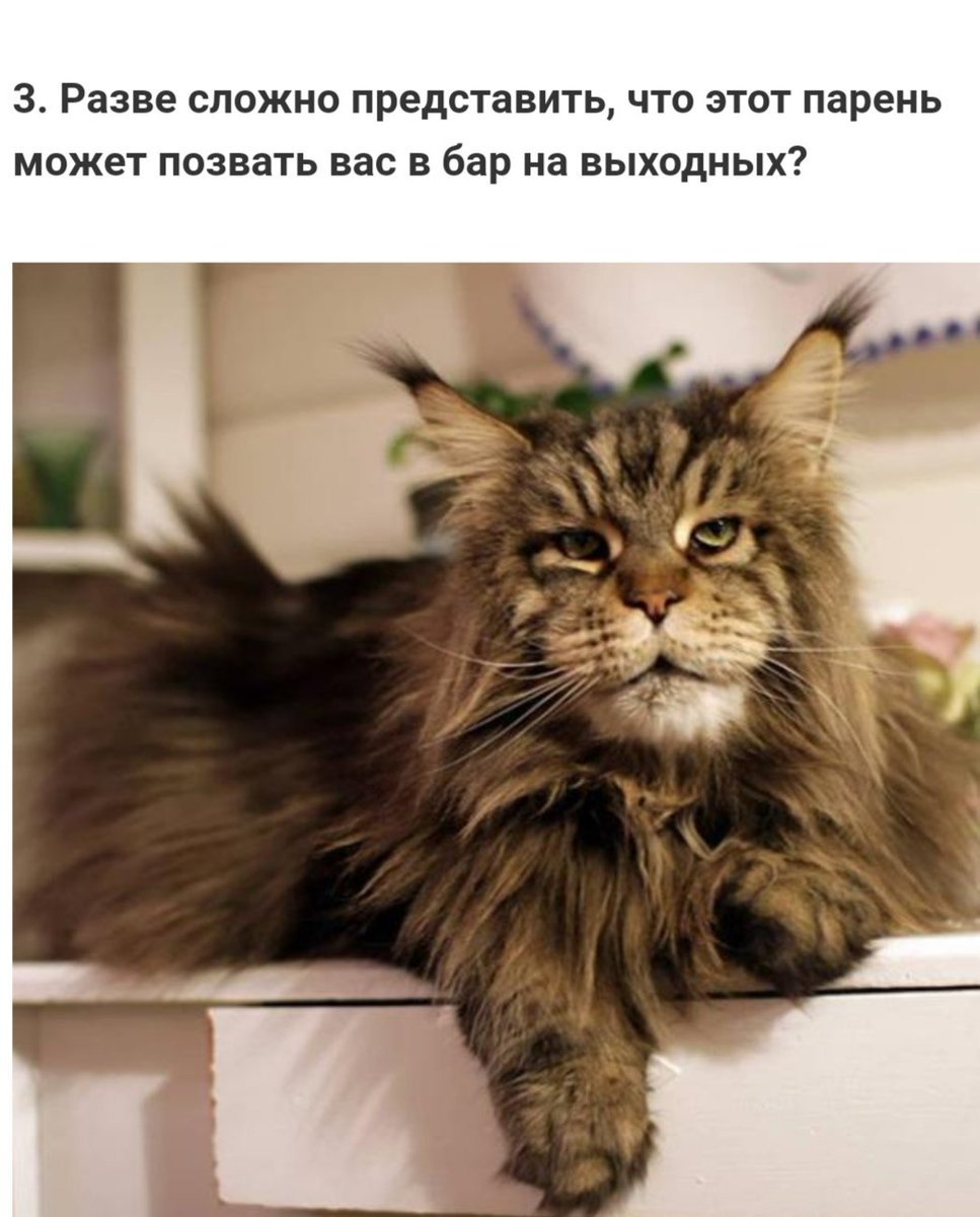 Мей кун вес